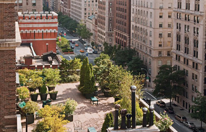urban city rooftop garden