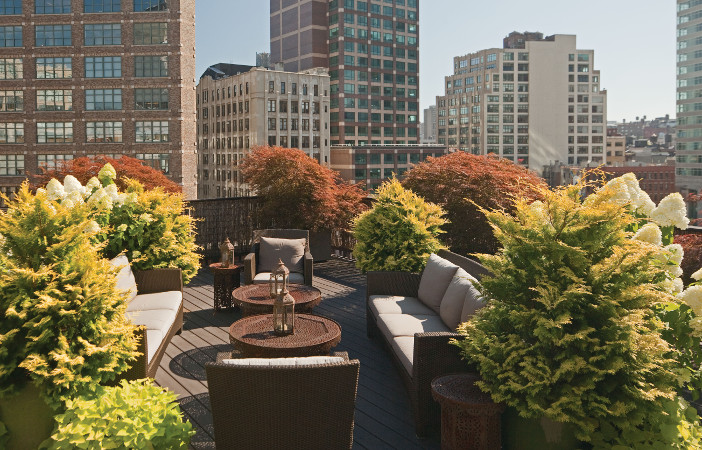 urban city rooftop garden